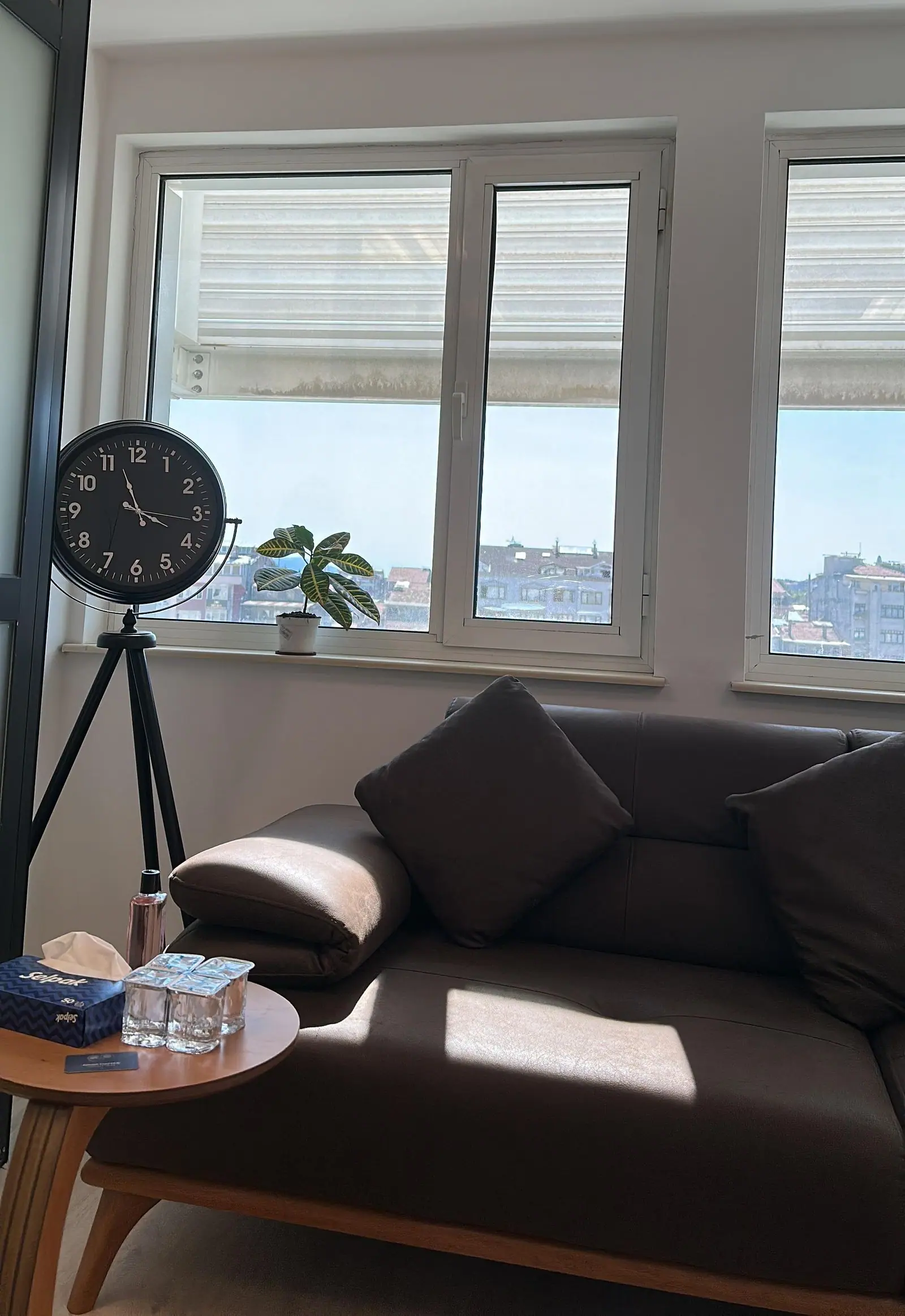 Terapi odasında tripod ayaklı duvar saati, saksı bitkisi ve gün ışığı alan deri kanepe